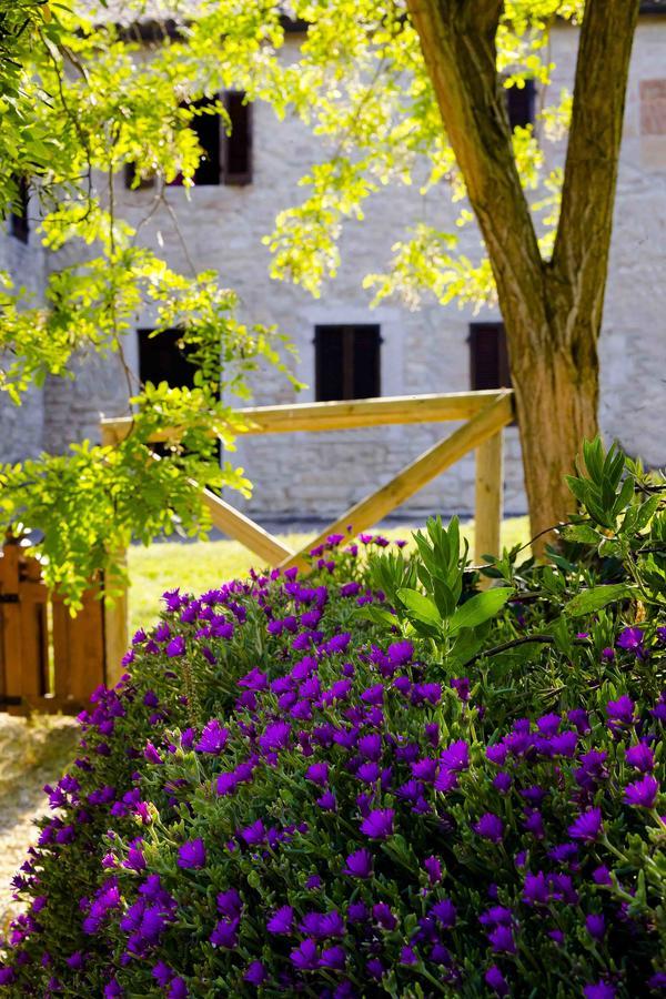 Castello Di Titignano Villa Орвието Екстериор снимка